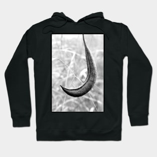 Seed Pod Hoodie